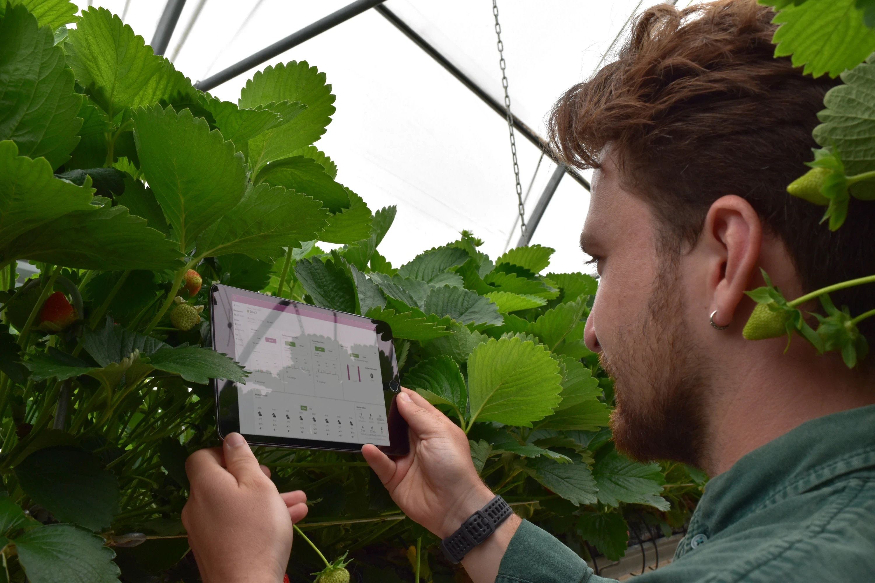 The best climate control systems for commercial polytunnel farming in 2026